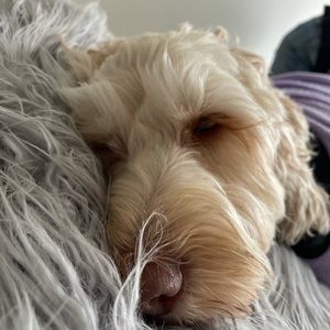 Meet your Posher, Leanne